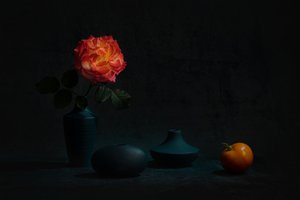 Rosa Laranja Brilhante