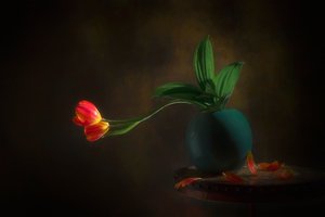 Natureza-morta com elegantes tulipas de Lydia Jacobs