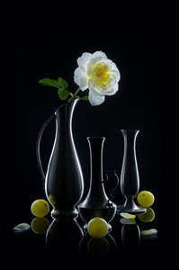 Rosa luminosa e jarras de Lydia Jacobs