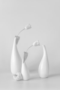 Túlipas brancas minimalistas de Lydia Jacobs