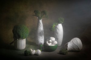 Natureza-morta melancólica com brócolos de Lydia Jacobs