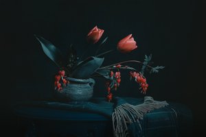 Natureza morta floral melancólica