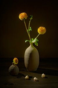Natureza morta floral melancólica