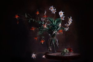 Natureza-morta floral melancólica de Lydia Jacobs