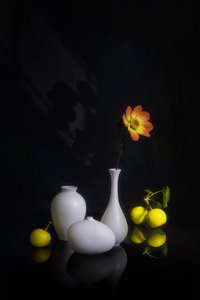 Flor e fruto melancólicos de Lydia Jacobs