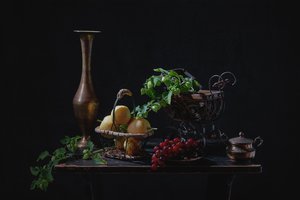 Natureza-morta de fruta melancólica de Lydia Jacobs