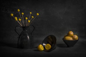 Kiwi dourado e flores melancólicas de Lydia Jacobs