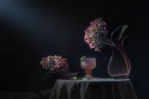 Natureza-morta melancólica com hortênsias de Lydia Jacobs