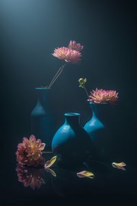 Dálias cor-de-rosa melancólicas de Lydia Jacobs