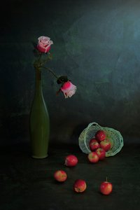 Rosas e maçãs melancólicas de Lydia Jacobs