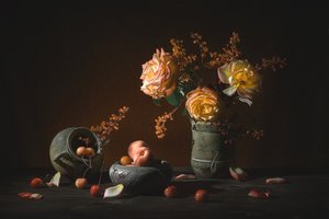 Rosas e fruta melancólicas de Lydia Jacobs