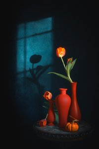 Natureza morta com tulipas melancólicas