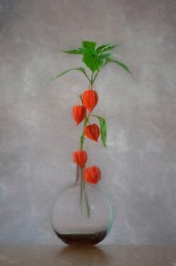Jarra com lanternas cor de laranja de Lydia Jacobs