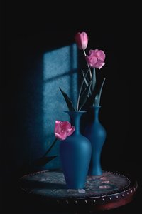 Tulipas cor-de-rosa em vasos azuis