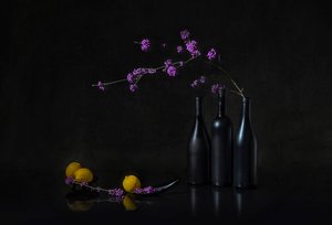 Natureza-morta escura com bagas roxas de Lydia Jacobs