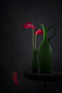 Antúrios vermelhos, vasos verdes de Lydia Jacobs