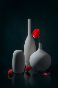 Papoila vermelha e vasos brancos de Lydia Jacobs