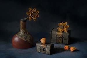 Exposição botânica rústica de Lydia Jacobs