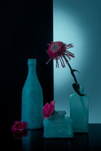 Garrafas verde-azuladas com flores de Lydia Jacobs