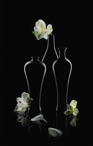 Flores brancas, vasos escuros de Lydia Jacobs