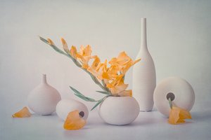 Flores amarelas em vasos brancos