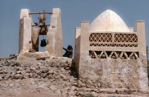 No deserto, um oásis com um poço em Husn Al-Muttahar, a sul de Tarin, no Iémen.