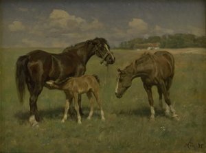 Três cavalos em um campo de M. Therkildsen
