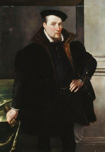 Retrato de um cavalheiro, três quartos de comprimento, com um casaco preto com forro de pele, 1551 de Maarten de Vos