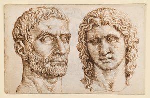 Cabeça de um homem mais velho, cabeça de um jovem de Maarten van Heemskerck