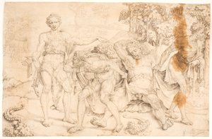 Noa zomba de Kam de Maarten van Heemskerck