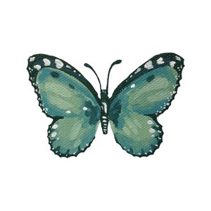 Borboleta azul-petróleo elegante de Madison Phipps