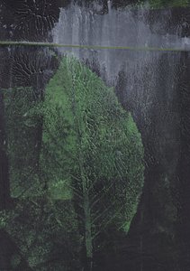 Resumo: Folha Verde