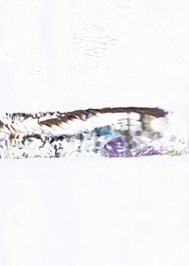 Mistura «Abstract Horizon» de Maira Ribena