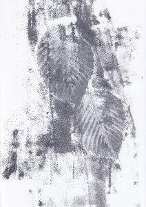 Texturas abstratas de folhas de Maira Ribena