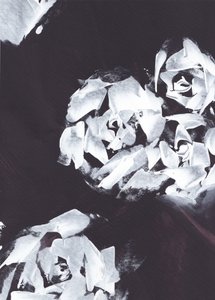 Abstrato floral branco de Maira Ribena