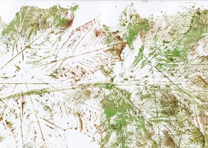 Folha abstrata