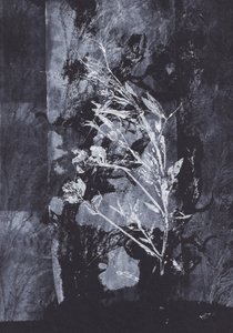 Natureza Negra de Maira Ribena