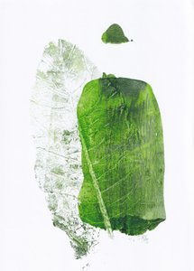Formas verdes botânicas de Maira Ribena