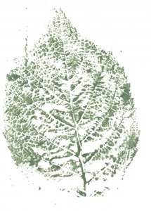 Estampado botânico de folhas