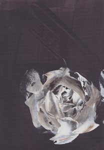 Rosa abstrata escura de Maira Ribena