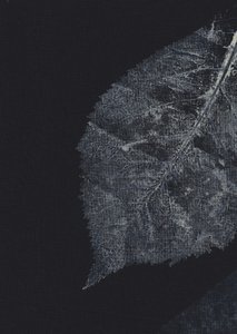Veias escuras das folhas