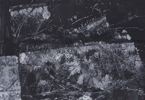 Textura orgânica escura de Maira Ribena