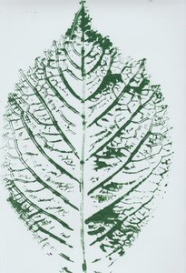 Estampado detalhado de folhas verdes