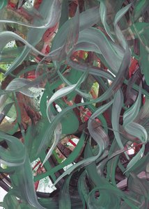 Abstrato Verde Fluido de Maira Ribena