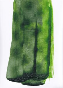 Resumo de Fluid Green de Maira Ribena