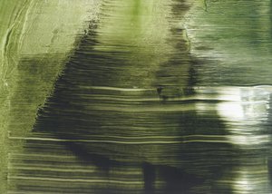 Resumo de Fluid Green de Maira Ribena