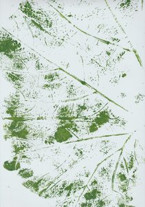 Impressão de Folha Verde de Maira Ribena