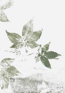 Impressões da Green Leaf de Maira Ribena