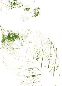 Estampados de Folhas Verdes
