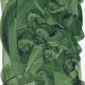 Espirais de um verde exuberante de Maira Ribena